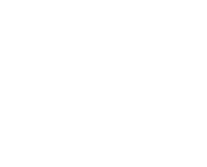 STAGE STORM AGENCY